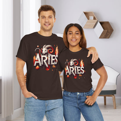 Aries Sign Gift Store Shirt