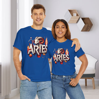 Aries Sign Gift Store Shirt